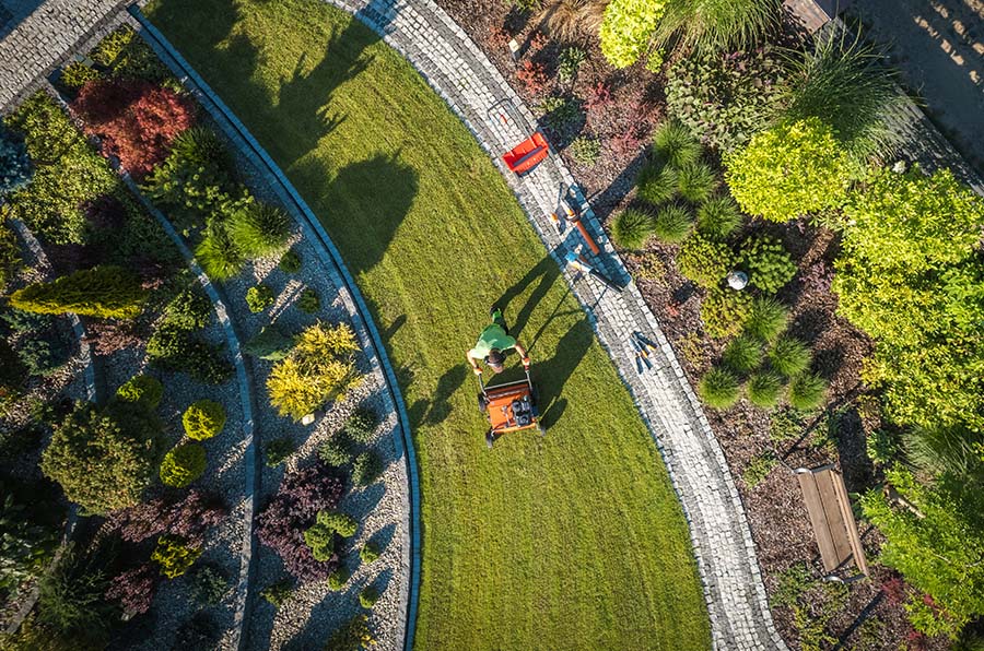 Aerial view of a person mowing a beautifully landscaped garden with vibrant plants and stone pathways.